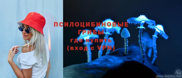 бутират Алзамай